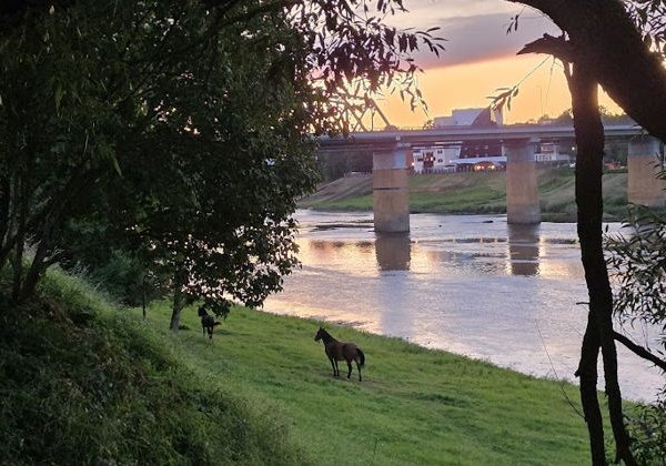Полоцкий экспресс: коротко, интересно о самом древнем городе Беларуси - фото 1