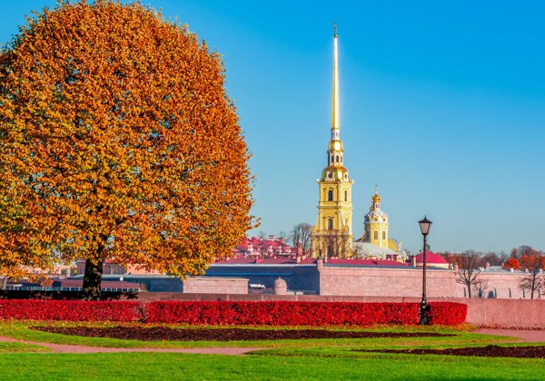 Петроградка: уютная и живая