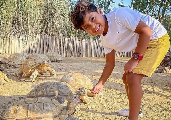 Из Каира - Сафари-парк (Safari park) для детей и вызрослых - фото 2