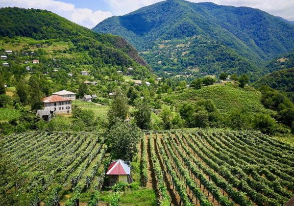 Горы и водопады Аджарии + мастер-класс грузинской кухни - фото 3