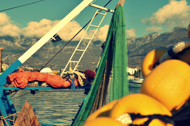 Фото - экскурсия: Веганская жизнь в Черногории: миф или правда