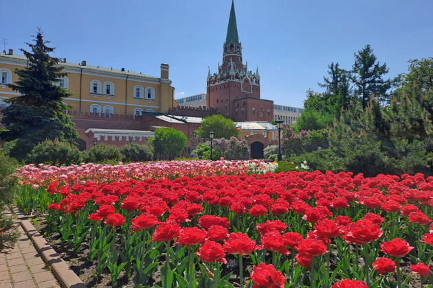 Фото - экскурсия: Исторический центр Москвы: ключевые достопримечательности столицы за три часа