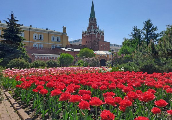 Исторический центр Москвы. Всё самое главное в сердце столицы за 3 часа