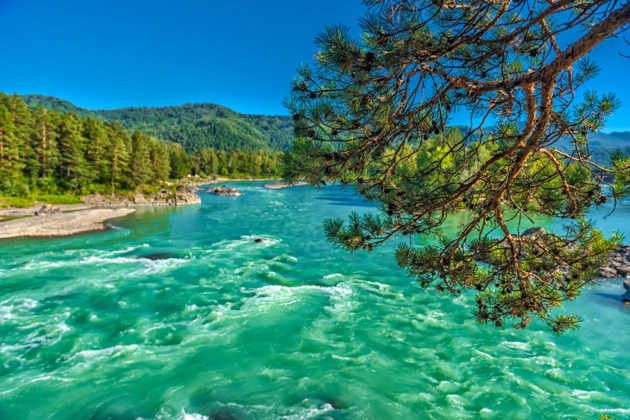 Алтайская Одиссея: степные просторы и горные вершины в одном восьмидневном путешествии