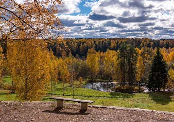 Великолепное Щелыково — усадьба А.Н. Островского (на авто туристов) - фото 3