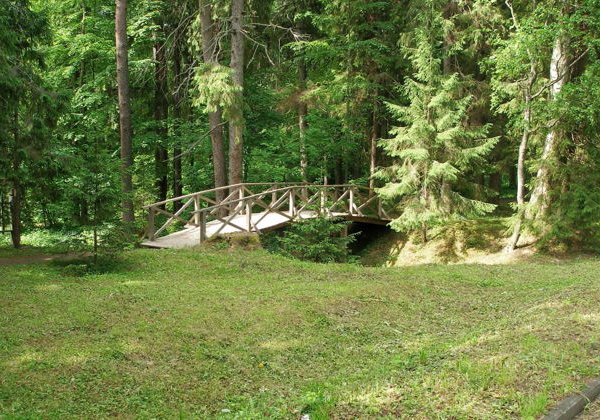 Великолепное Щелыково — усадьба А.Н. Островского (на авто туристов) - фото 4