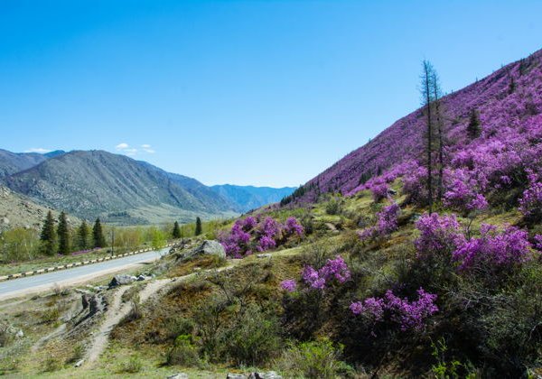 Алтайское ожерелье — 10 дней - фото 4