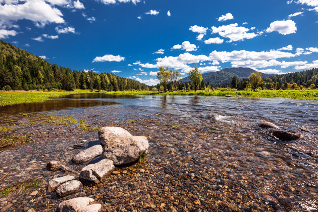 Алтайские сны: Телецкое озеро, Манжерок, Патмос и Чуйский тракт за шесть дней