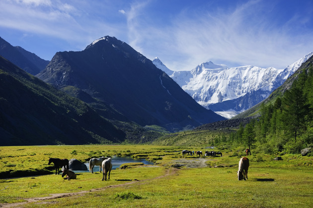 Путешествие по местам силы Алтая в поисках Шамбалы за восемь дней