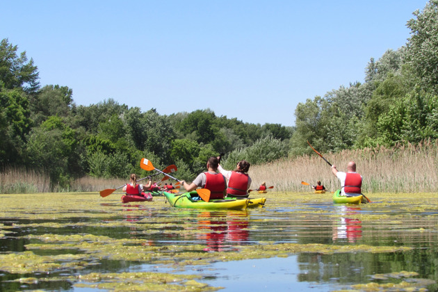Каякинг вокруг острова Велико-Ратно с фотографиями и панорамами Белграда