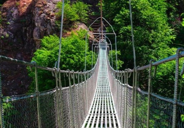 Лавандовые поля и альпаки — сказочный тур в Лагич и Исмаиллы - фото 2