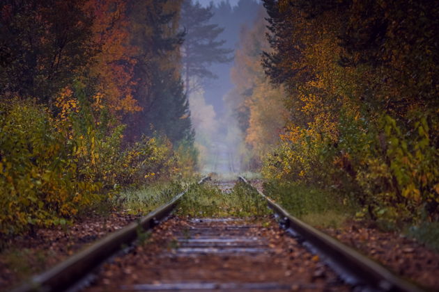 Фото экскурсии - Прогулка по Самоцветной чаше в Сысерти - 9