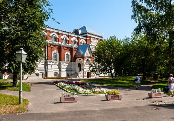 Ретропоезд в Гусь-Хрустальный за диковинным цветком - фото 2