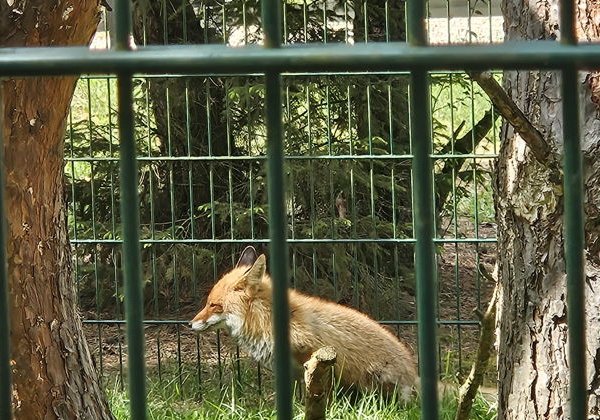 Групповой тур в Беловежскую пущу - фото 1