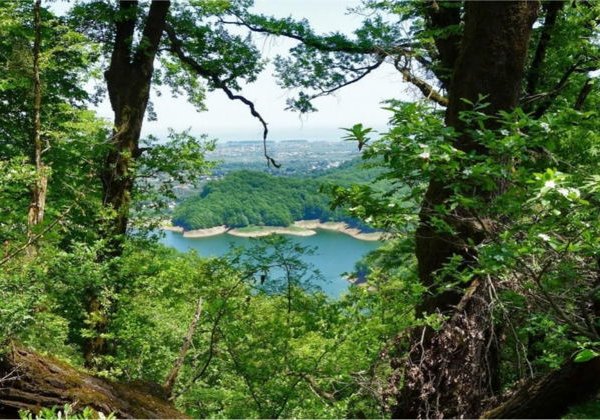 Ленкорань и Лерик: побег на природу из Баку - фото 4