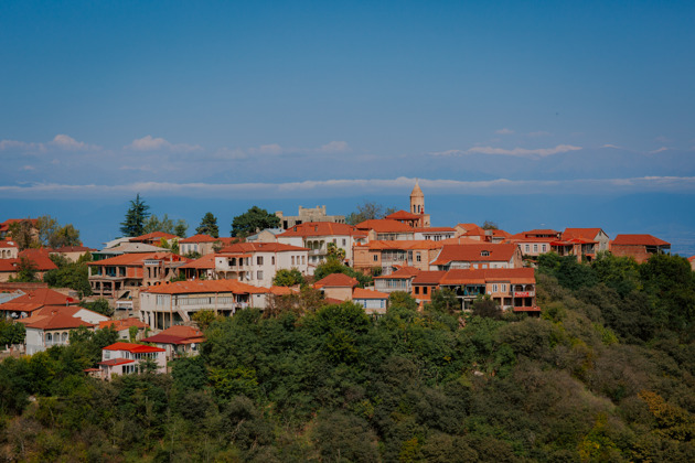 Душевная поездка в Кахетию: Сигнахи, вино и пикник с фотографом