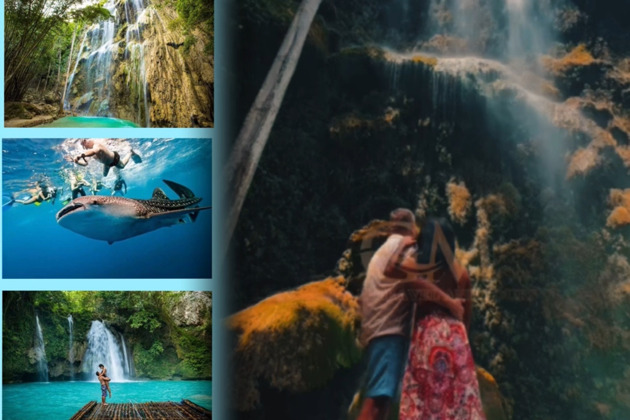 Погружение в приключения Юга: акулы-киты, водопады и каньонинг