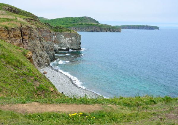 Тайны острова Русский и Приморский океанариум - фото 1