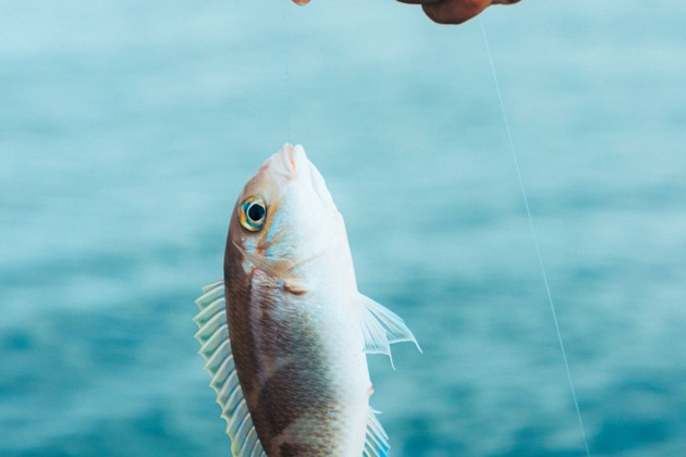 Рыбалка на море в Белеке