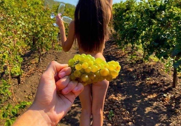 Там, где остановилось время! Очень бюджетный тур по Кахетии для тех, кто всегда спешит! - фото 1