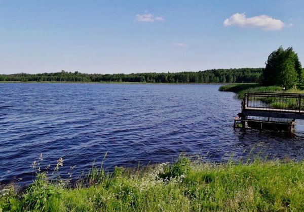 Беловежская пуща и Бресткая крепость за 1 день - фото 3