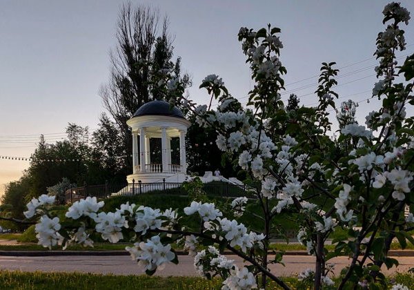 От «Здорово, Кострома!» до «Смешариков»: Кострома в песнях - фото 2
