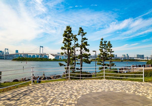 Южный Токио — пешеходная экскурсия по острову и саду - фото 4
