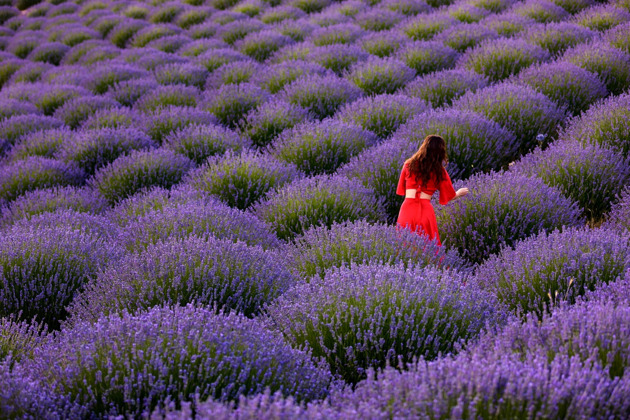 День силы и красоты: внедорожники, каньон Тазы, лавандовые поля и сплав по реке