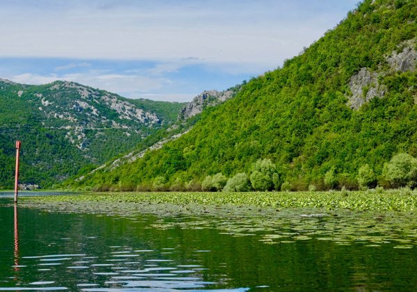 Индивидуальная экскурсия на Скадарское озеро