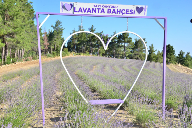 Внедорожное приключение по каньону Тазы и лавандовым полям на кабриолетах