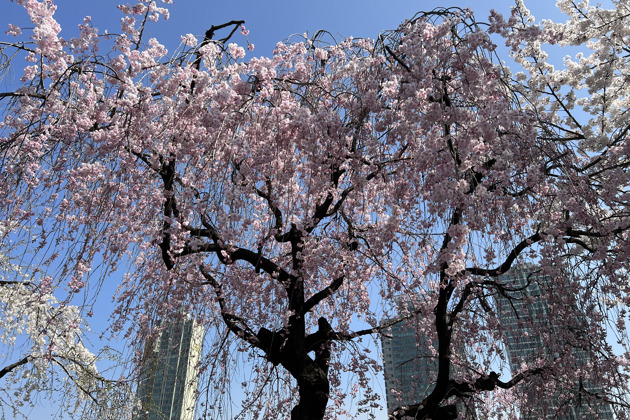 Экономический прорыв на берегах Хана