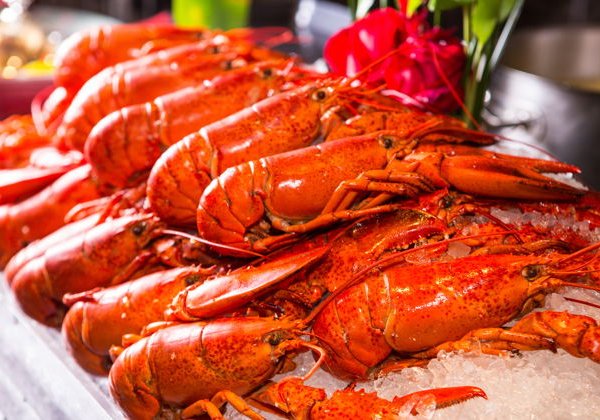 Шведский стол с лобстерами и морепродуктами в ресторане Фист отеля Шератон - фото 4