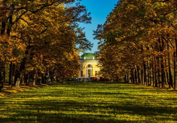 Пушкин. Экскурсия в Александровский дворец и Феодоровский собор - фото 4