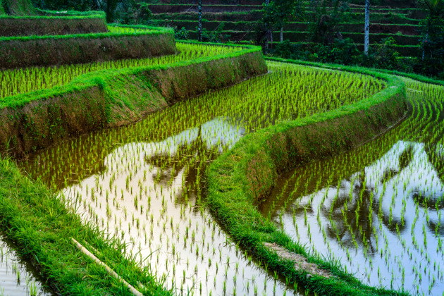 Путешествие к высочайшему водопаду южного Вьетнама из Муйне