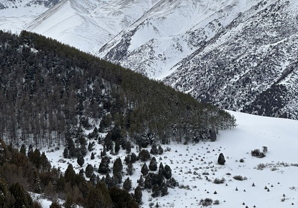 Ала-Арча + Чункурчак за один день: два ущелья и максимум впечатлений - фото 2
