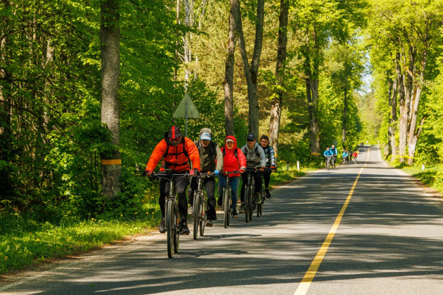 Велосипедная экскурсия по Куршской косе