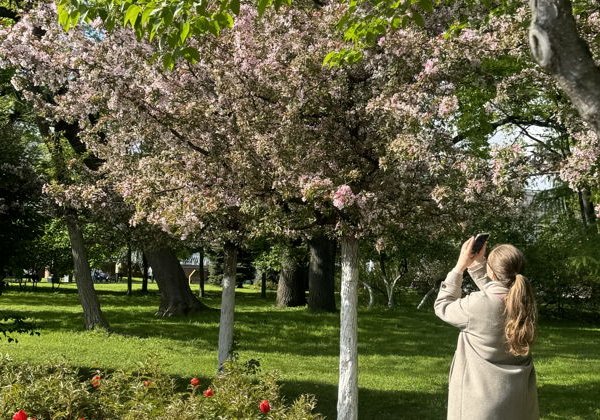 Москва победная — фотоэкскурсия по Александровскому саду - фото 2