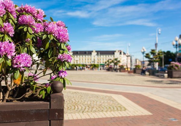 Прогулка по Калининграду: знакомство с садами и крепостями города - фото 3