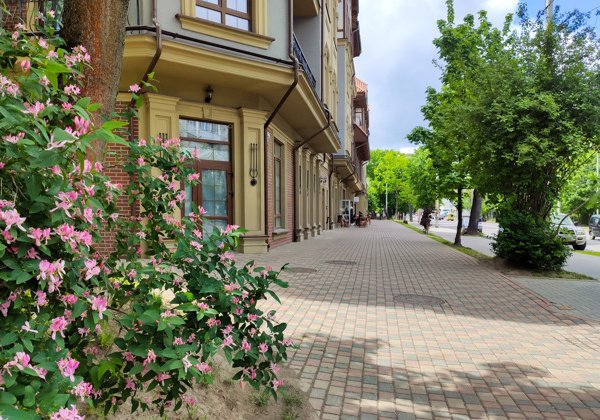 Прогулка по живописному району Амалиенау в Калининграде