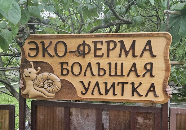 Эко-ферма «Большая улитка» — первая уличтоная ферма в Адлере