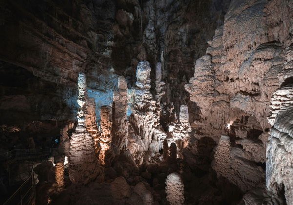 Винно-гастрономический релакс-тур на Скадарское озеро. - фото 3