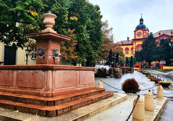 Однодневная экскурсия: Нови-Сад и Карловцы из Белграда - фото 4
