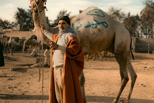 Пирамиды и Верблюжий рынок - все успеваем за один день