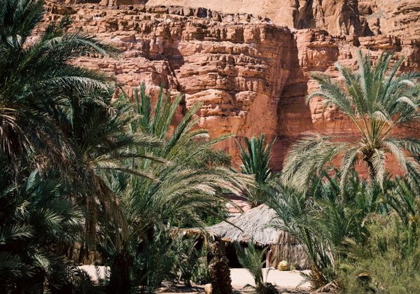 Приключение в Синае: каньон, снорклинг и джип-тур в Дахаб - фото 3