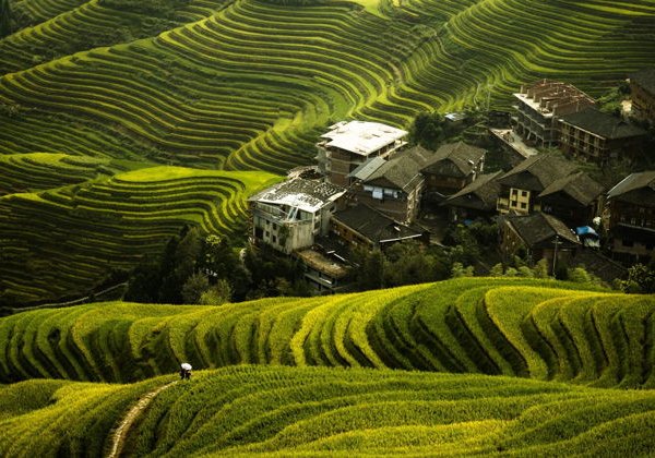 Рисовые террасы Лунцзи (Longji): хайкинг, деревни и локальная кухня - фото 1