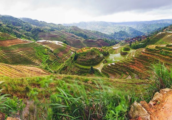 Рисовые террасы Лунцзи (Longji): хайкинг, деревни и локальная кухня - фото 2