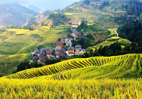 Рисовые террасы Лунцзи (Longji): хайкинг, деревни и локальная кухня