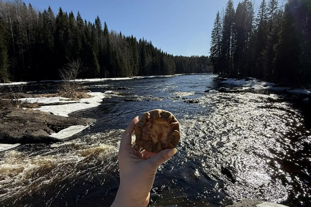 Тур из Сортавала к водопадам Карелии