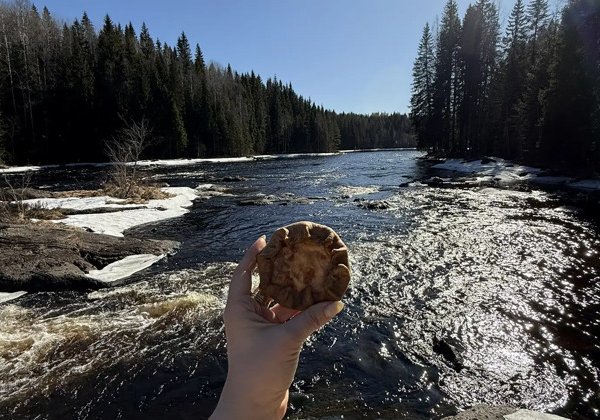 Карельские водопады: тур из Сортавала
