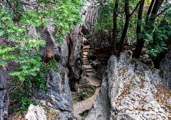 Премиальная экскурсия по Юаньаню: Куньмин и Каменный лес - фото 3